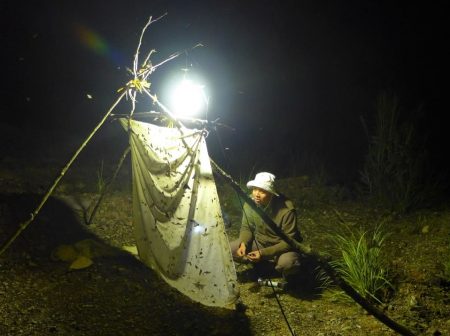 Cuong1 - sampling at night using light trap in Bidoup National Park (May 2016)