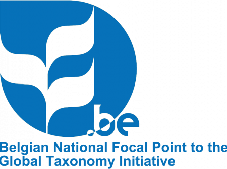 Logo NFP GTI blue EN
